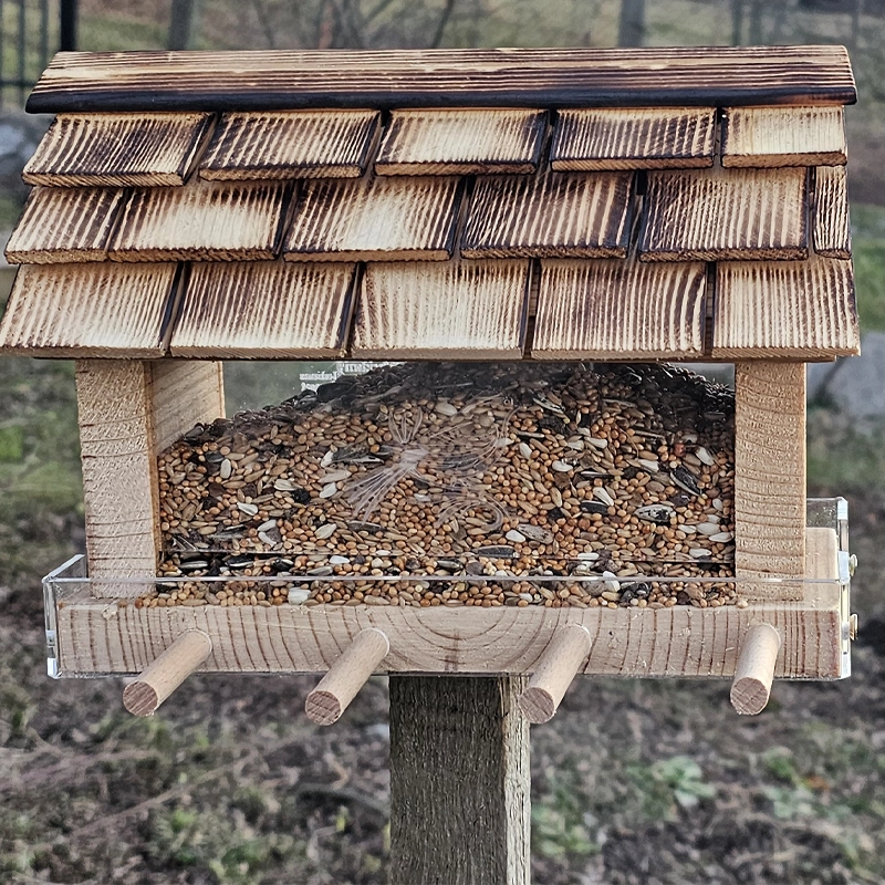 Mangeoire en bois pour Passereaux